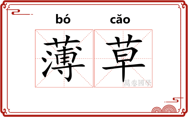 薄草 薄草