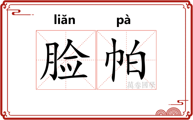 脸帕