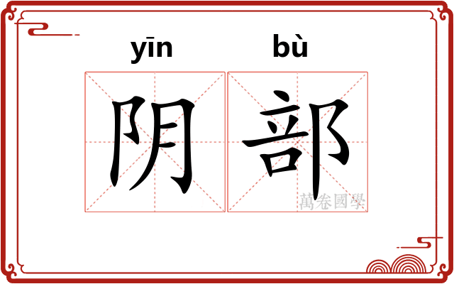 阴部