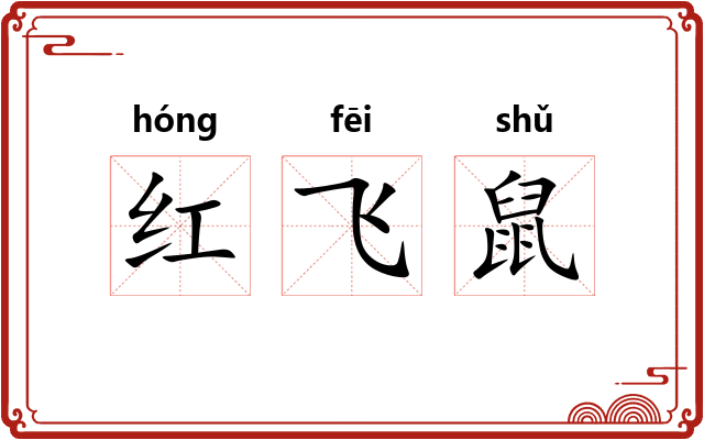 红飞鼠 红飞鼠