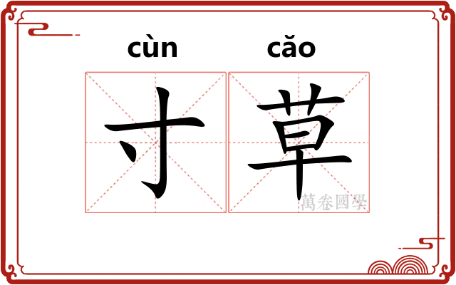 寸草