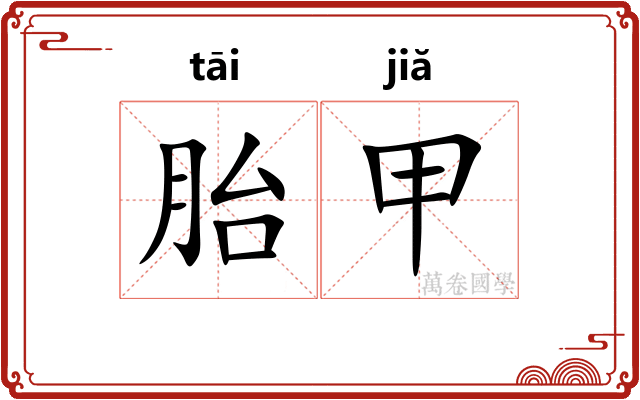 胎甲
