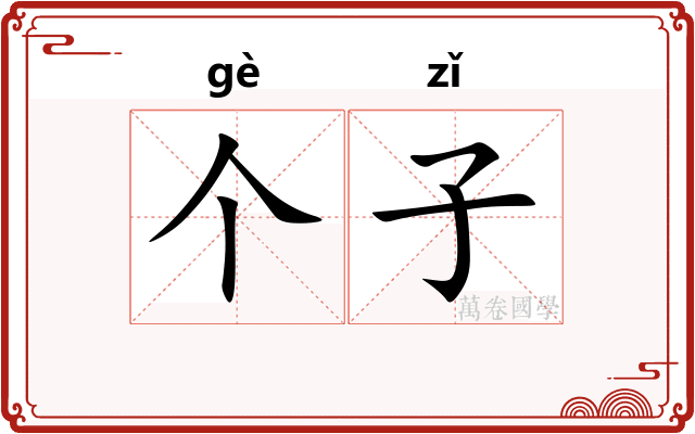 个子