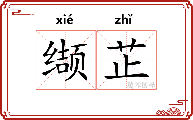 缬芷