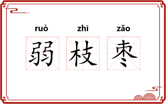 弱枝枣