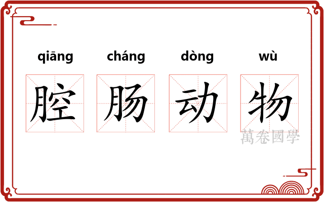 腔肠动物
