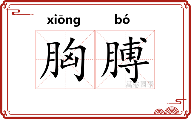 胸膊