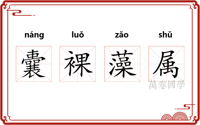 囊裸藻属