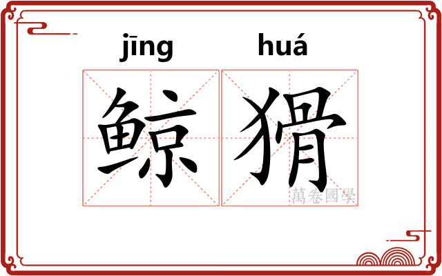 鲸猾