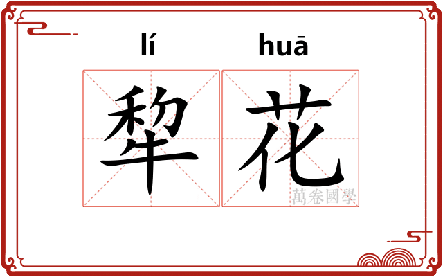 犂花