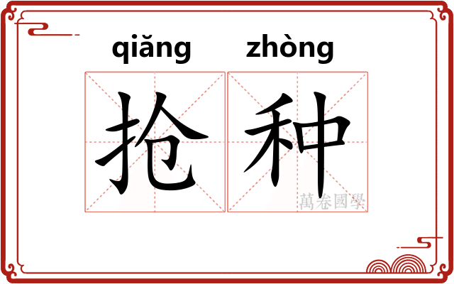 抢种