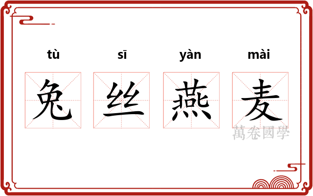 兔丝燕麦