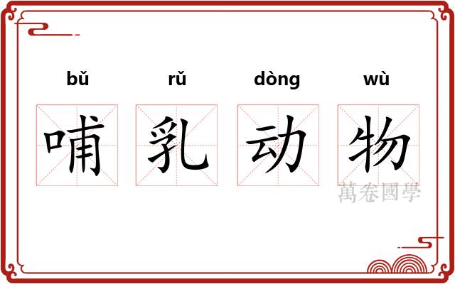 哺乳动物