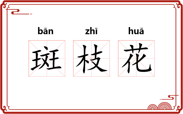 斑枝花
