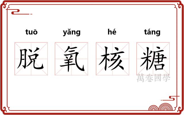 脱氧核糖