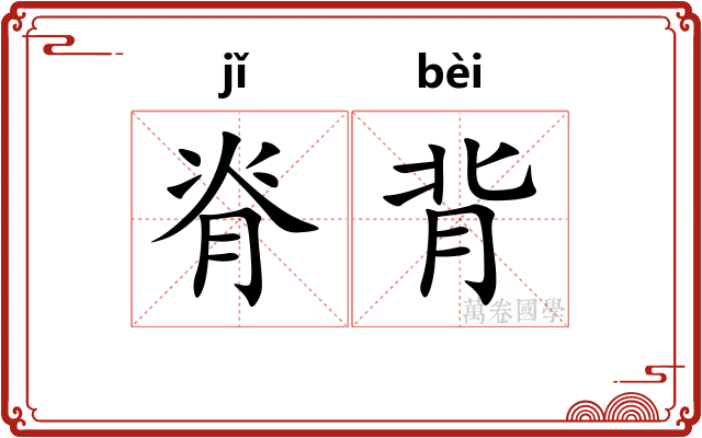 脊背 脊背