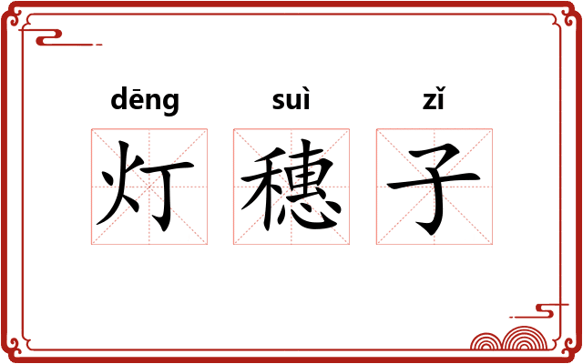 灯穗子 灯穗子