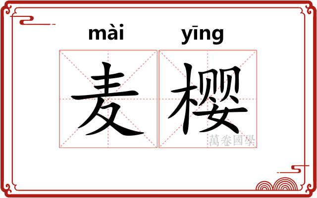 麦樱