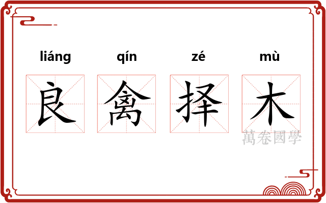 良禽择木 良禽择木