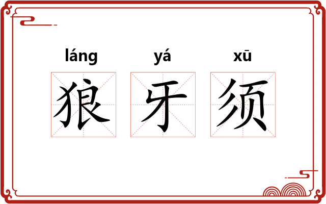 狼牙须 狼牙须