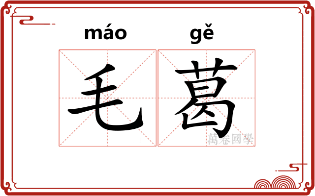 毛葛