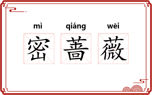 密蔷薇