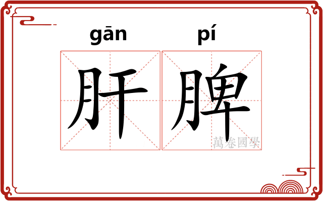 肝脾