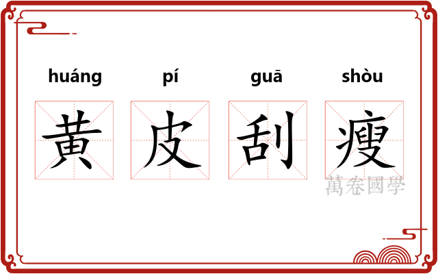 黄皮刮瘦