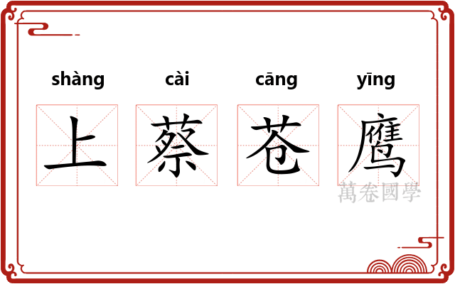 上蔡苍鹰