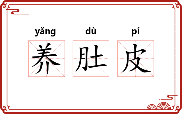 养肚皮