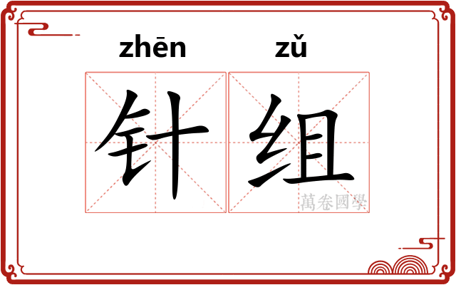 针组