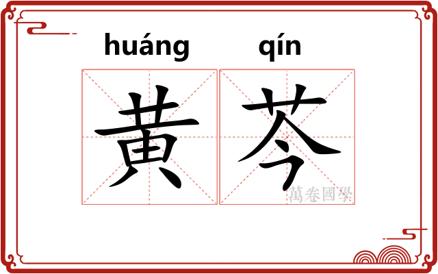 黄芩
