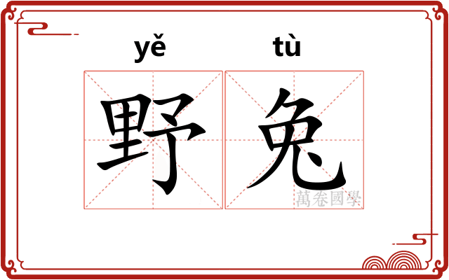 野兔