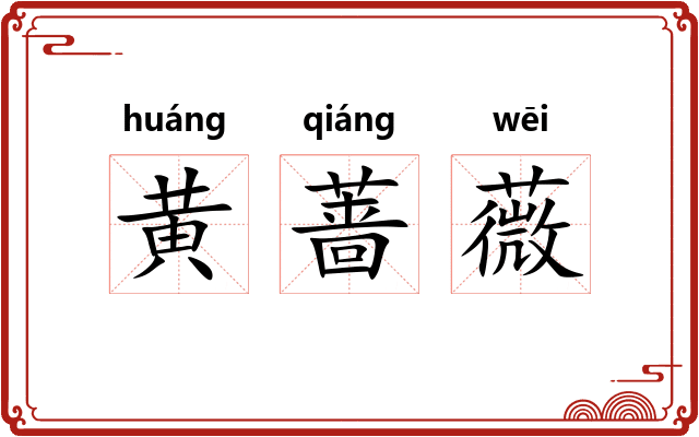 黄蔷薇 黄蔷薇