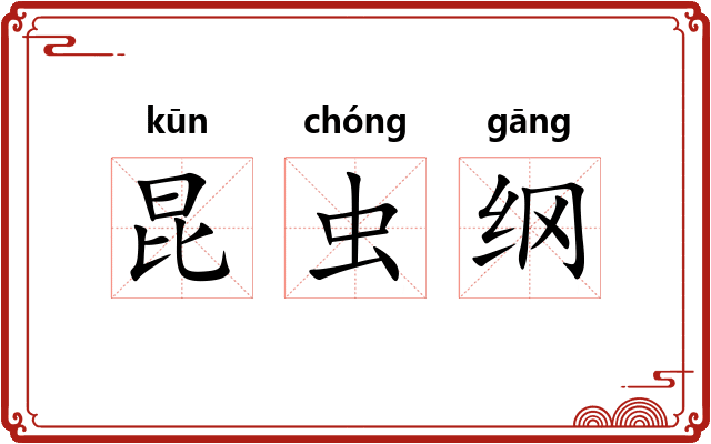 昆虫纲