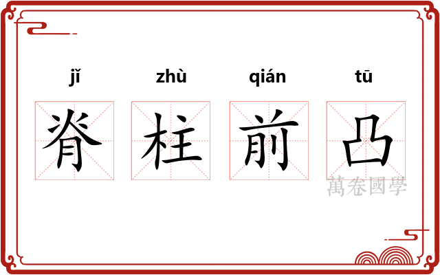 脊柱前凸