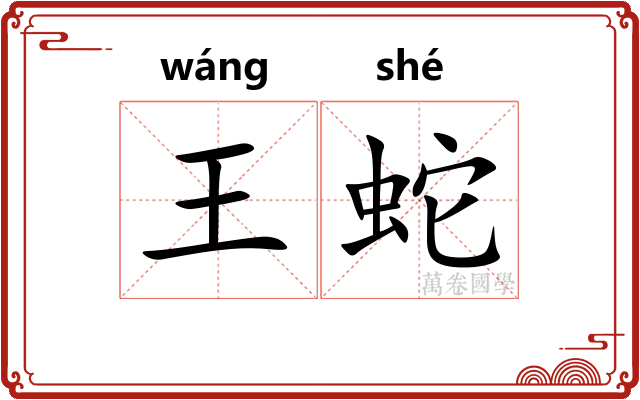 王蛇 王蛇