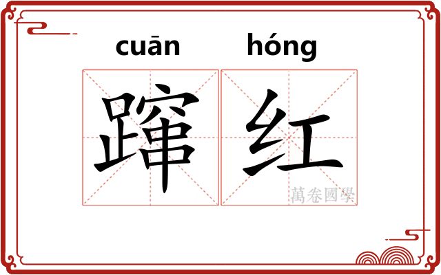蹿红