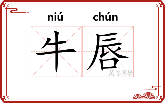 牛唇