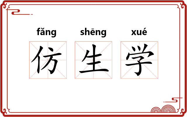 仿生学 仿生学