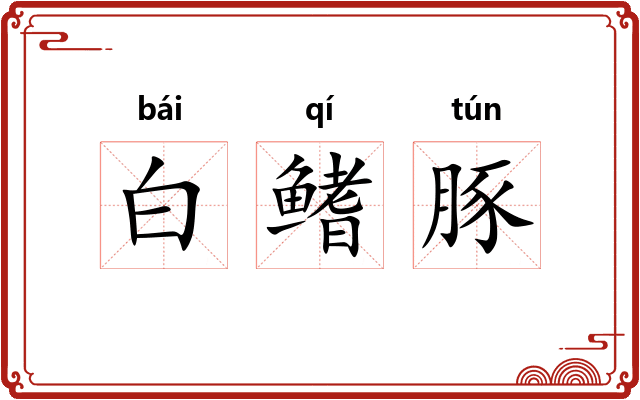 白鳍豚 白鳍豚