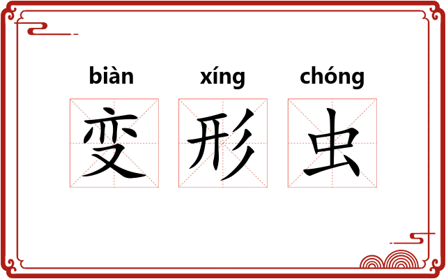 变形虫 变形虫
