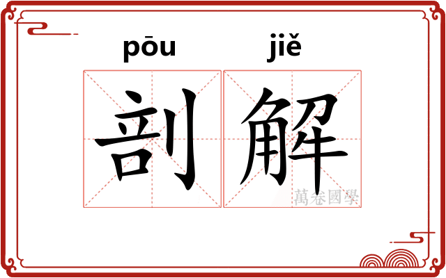 剖解