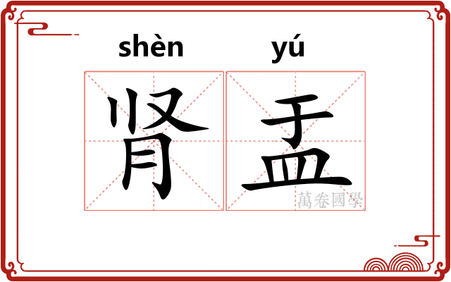 肾盂