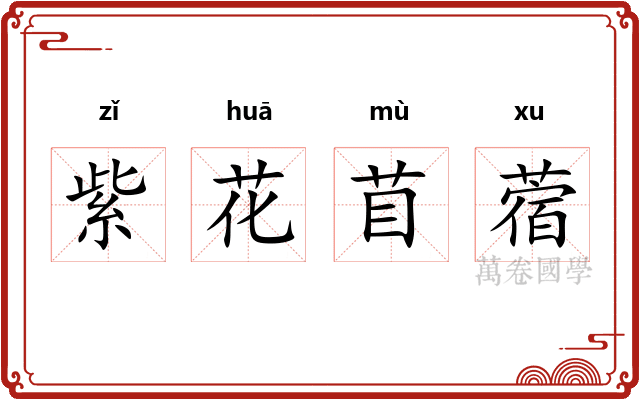 紫花苜蓿 紫花苜蓿