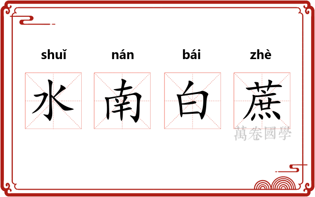 水南白蔗