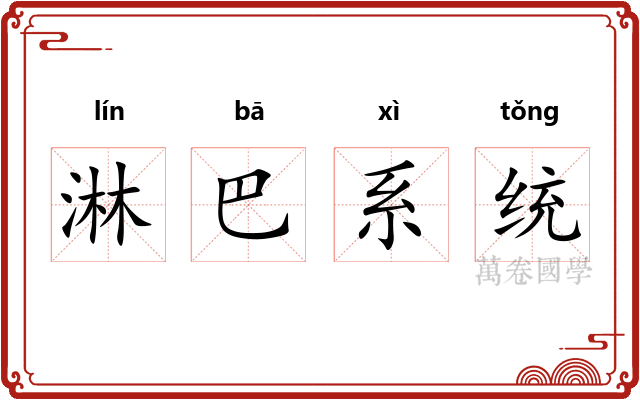 淋巴系统 淋巴系统