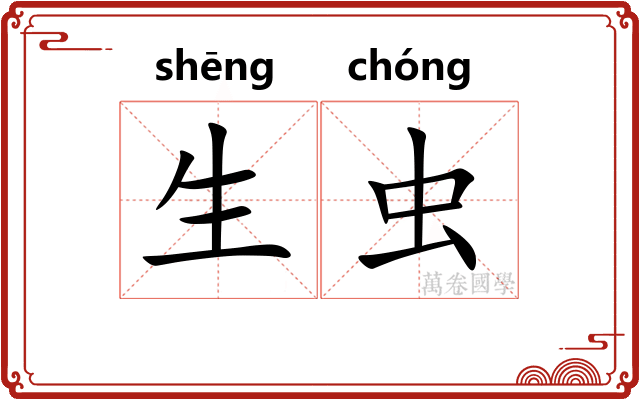 生虫