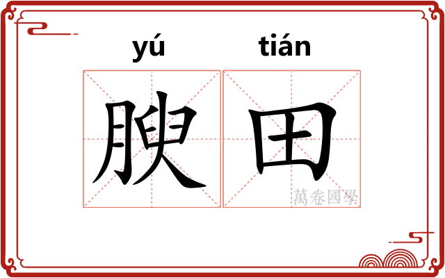 腴田