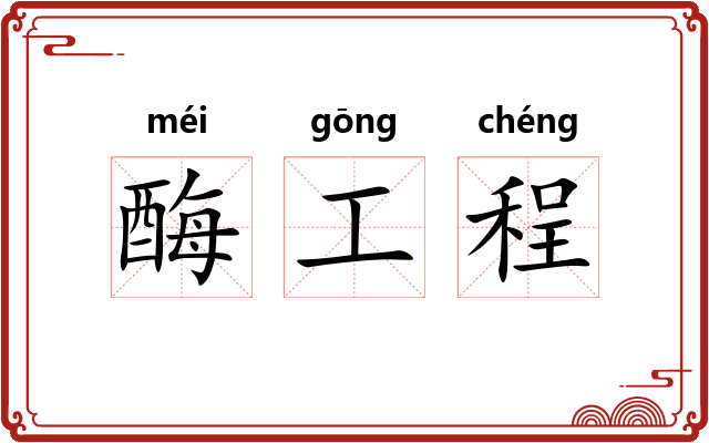 酶工程